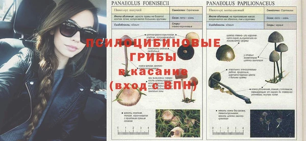 марки lsd Алзамай