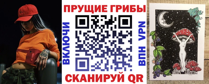 blacksprut как войти  Бирюч  Псилоцибиновые грибы ЛСД  наркотики 